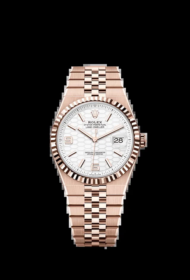Rolex Land-Dweller 40mm White 127335